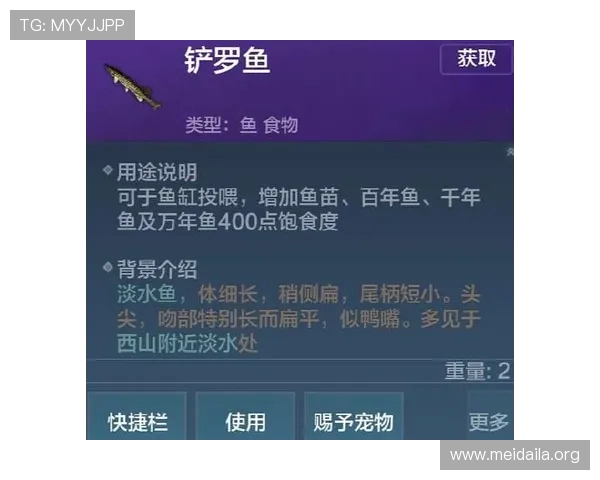 博鱼下注怎么玩详细操作流程与技巧指南让新手快速掌握游戏玩法提升胜率